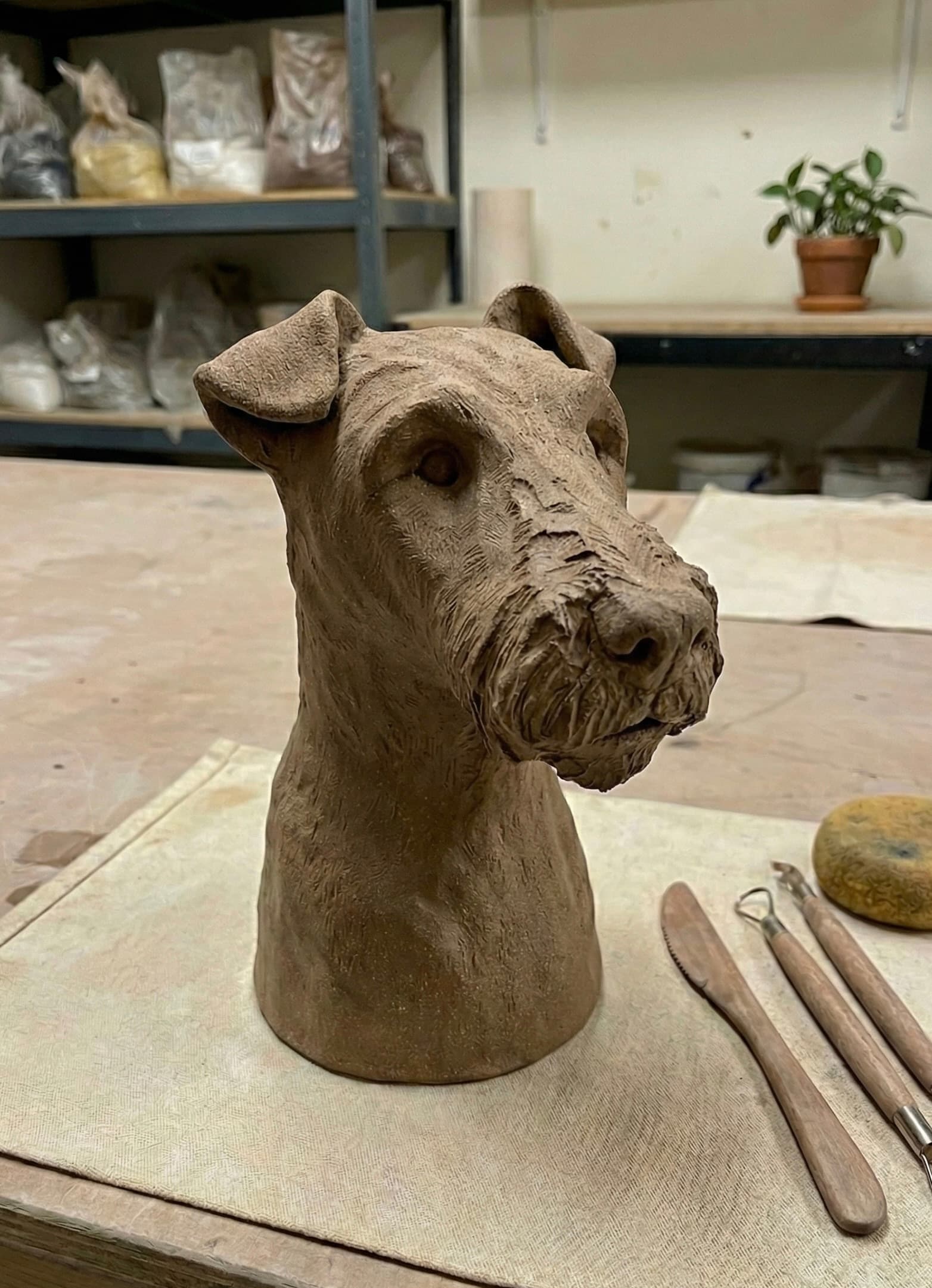 How Clayd's AI Feedback Helped Me Sculpt My Dog
