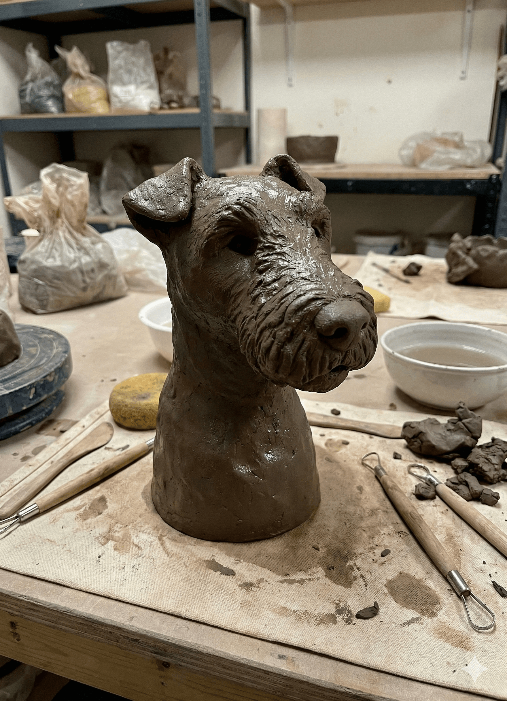 Clayd's visual feedback showing next steps